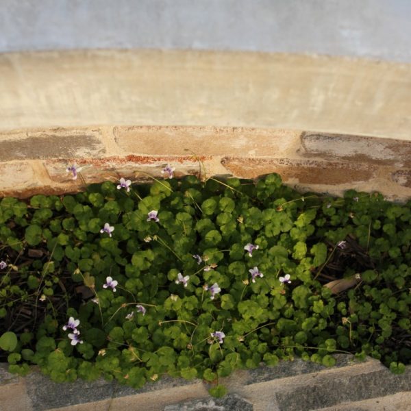 Landscaping Berry NSW